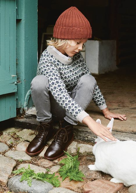 Hovedbilde Pellegenser