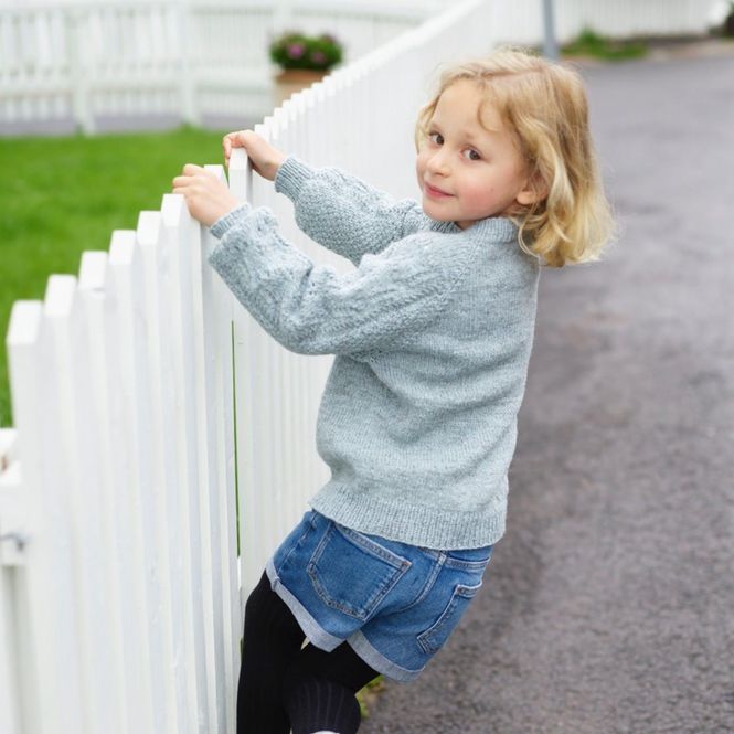 Hovedbilde Petrinegenser