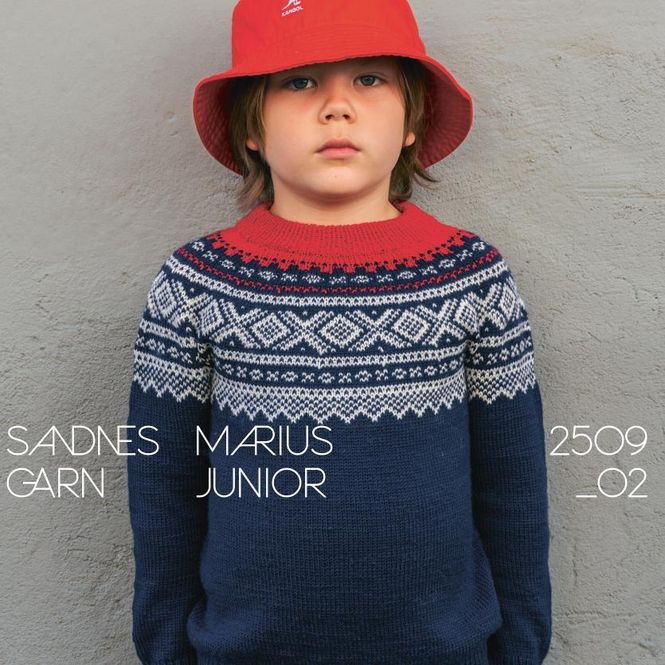 Hovedbilde Enkeltoppskrift / 2509 Norske ikoner junior / ...