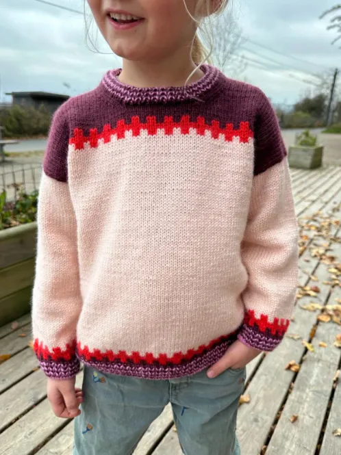 Hovedbilde Cross Sweater Junior