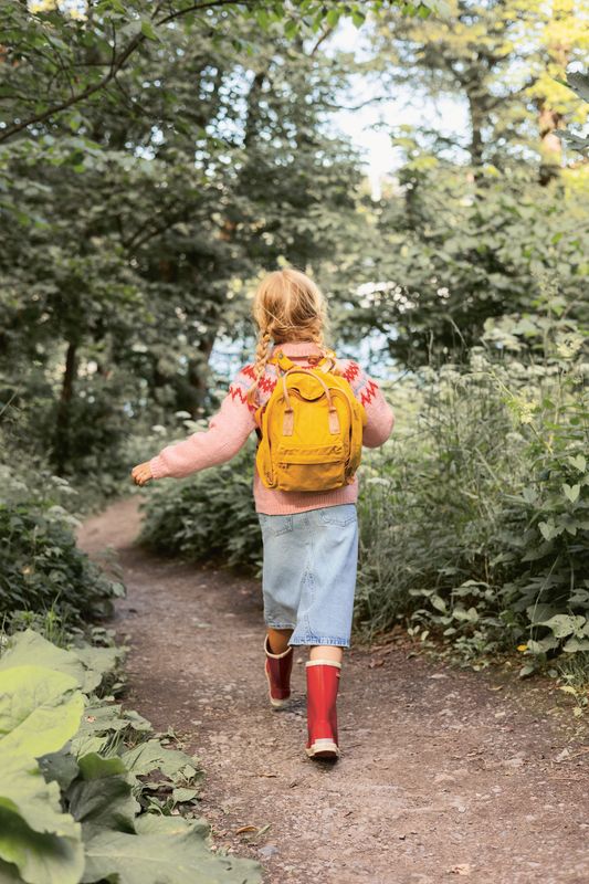 Polar-Light Barnegenser