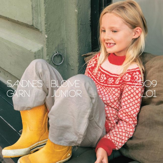 Hovedbilde Enkeltoppskrift / 2509 Norske ikoner junior / ...